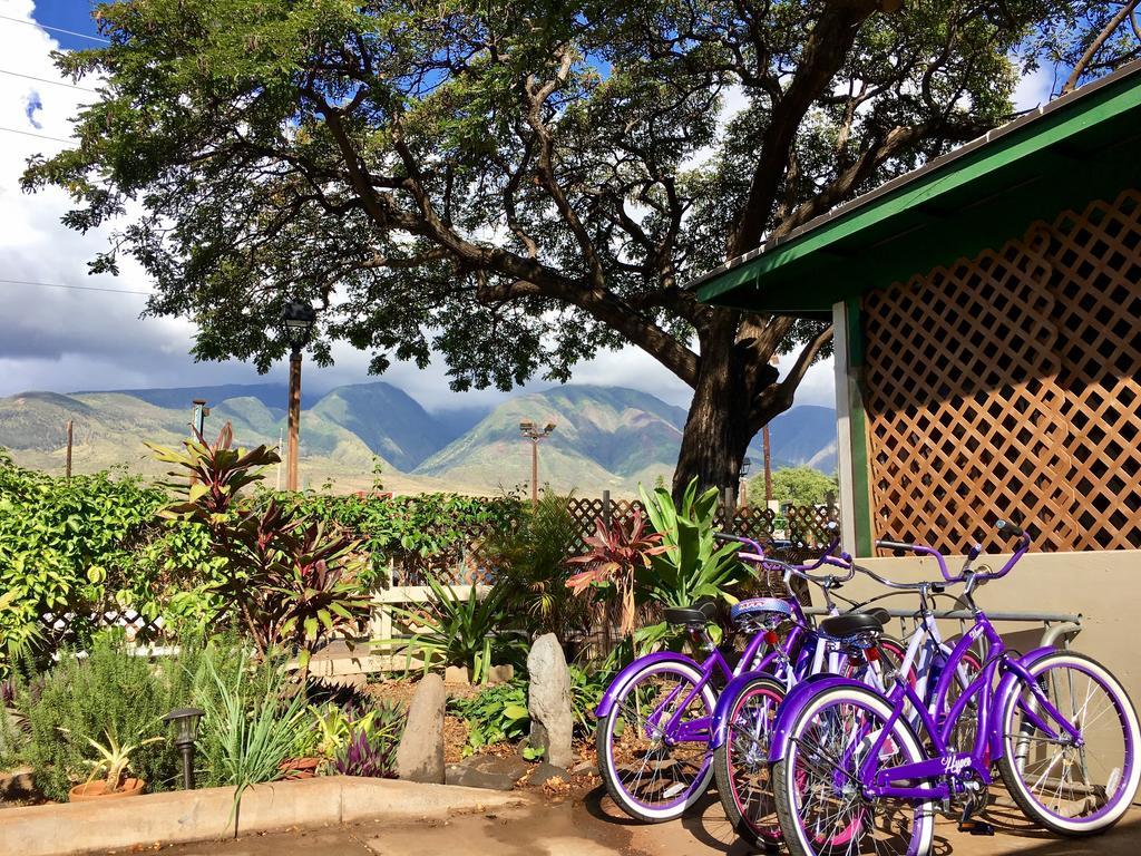 Auberge de jeunesse Hakuna Matata Maui Lahaina