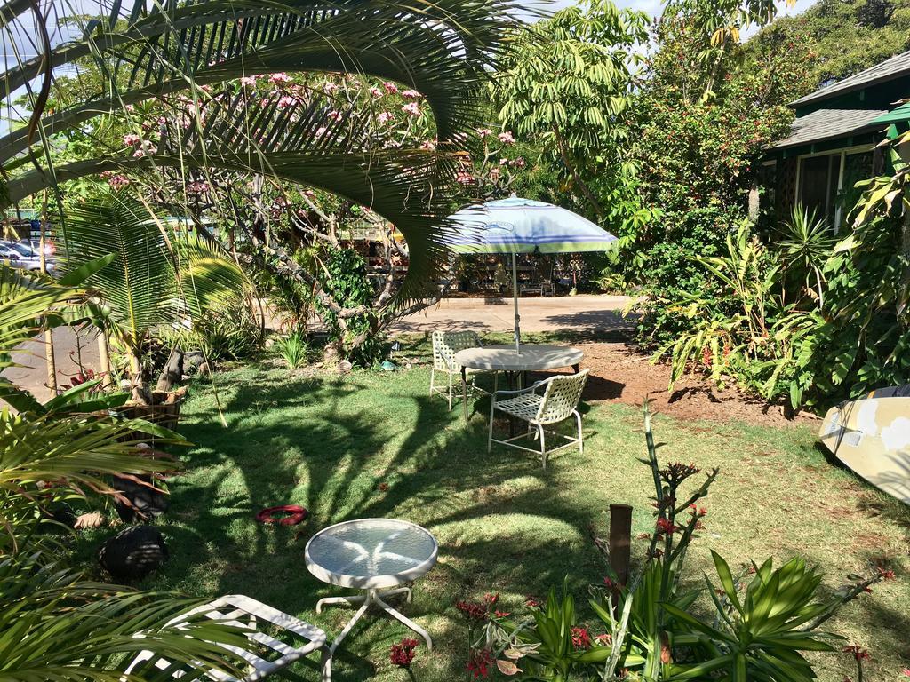 Hakuna Matata Maui Auberge de jeunesse *